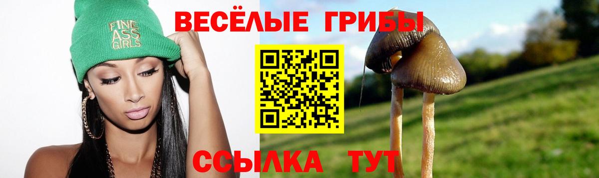 Галлюциногенные грибы GOLDEN TEACHER Дербент